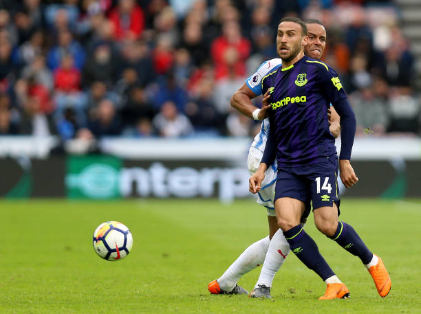 但此次回归 但此次回归